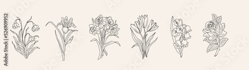 Set of flower line art vector illustrations. Rose, snowdrop, iris, tulips, daffodil, lilies of the valley hand drawn black ink illustrations.