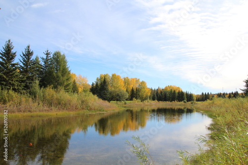 Fototapeta Naklejka Na Ścianę i Meble -  lake in autumn, Gold Bar Park, Edmonton, Alberta