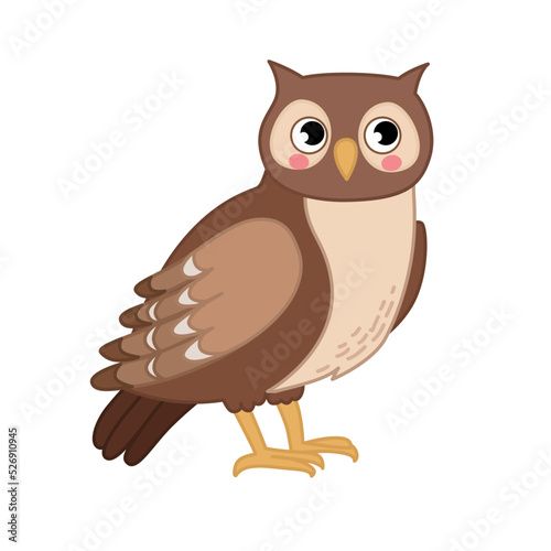 Vector illustration of cartoon cute owl isolated on white background.