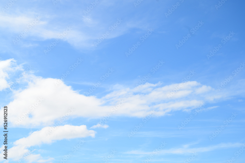 Fototapeta premium 夏空/summer sky / 青空/2022