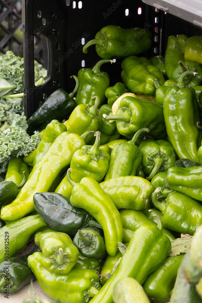 Locally grown green bell peppers at a local farmers market for sale. Locally grown green bell peppers at a local farmers market for sale.