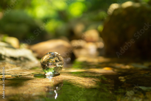 森林と水晶玉 © 歌うカメラマン