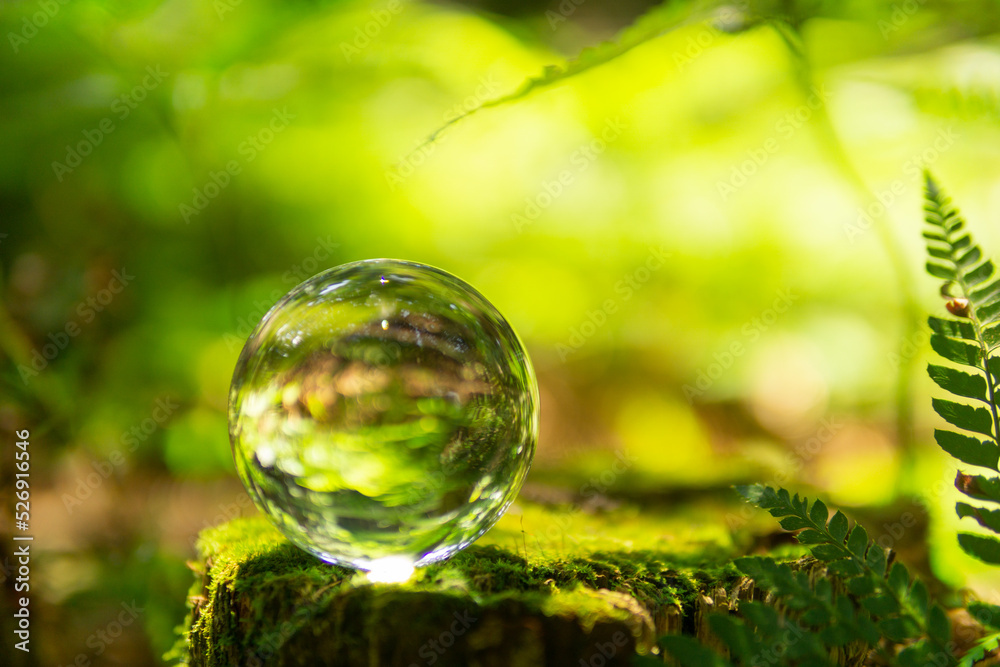苔と水晶玉 苔と水晶玉