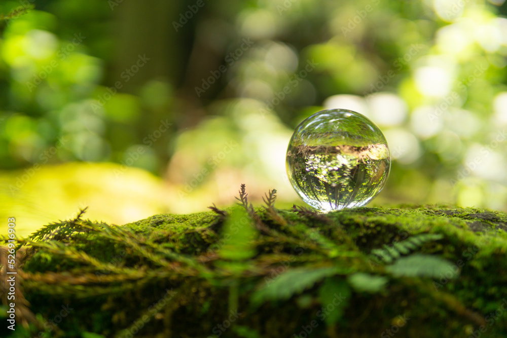 苔と水晶玉 苔と水晶玉