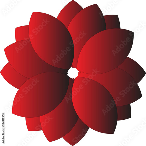 Beautiful red flower vector illustration.
