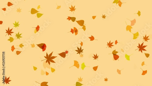 Wallpaper Mural background loop autumn Torontodigital.ca