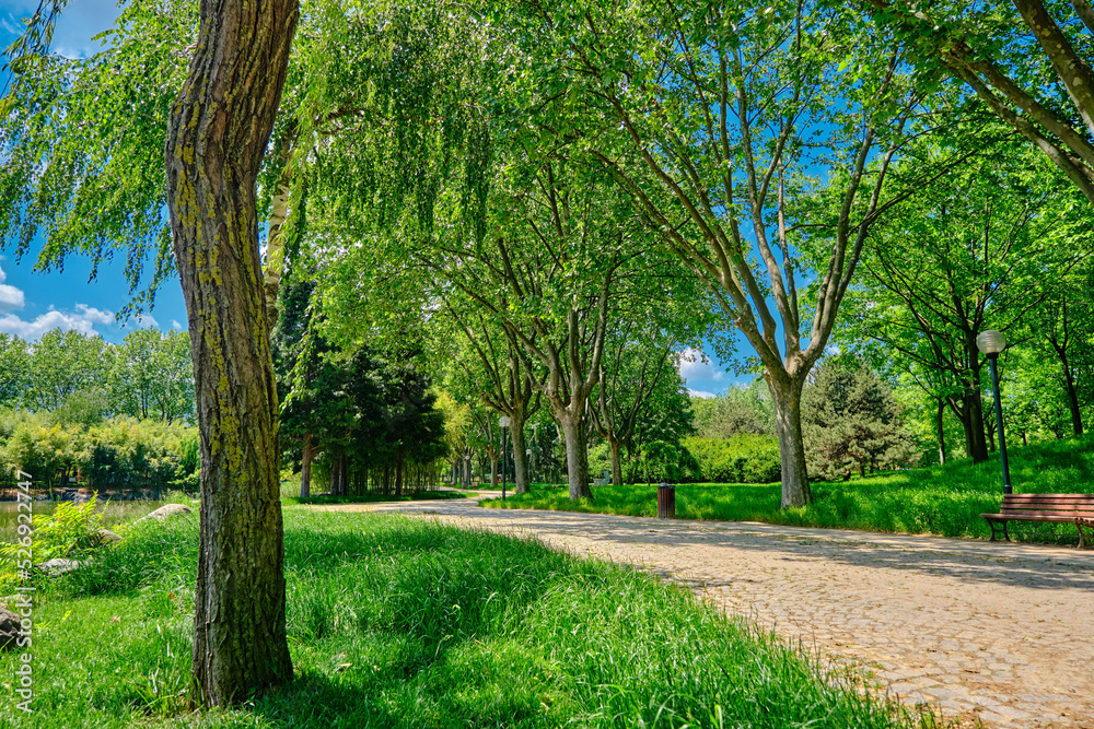 A gravel road inside the botanical park during sunny day