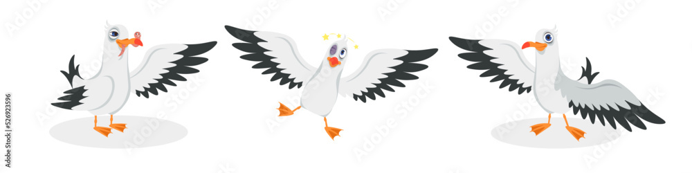 Vector illustration of cute and beautiful seagulls on white background. Charming characters in different poses found a worm, fell with a black eye after a blow, said hello in cartoon style.