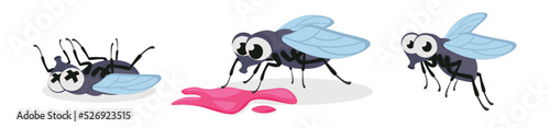 Vector illustration of cute and beautiful fly on white background. Charming characters in different poses died, found a red life, flies in cartoon style.