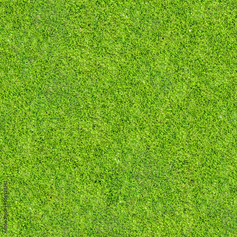 Fototapeta premium Seamless Grass Texture. Lawn, meadow. Golf, football, baseball, tennis. Land plot, stadium, yard. Aesthetic background for design, advertising, 3d. Empty space for inscriptions. Eco coating.