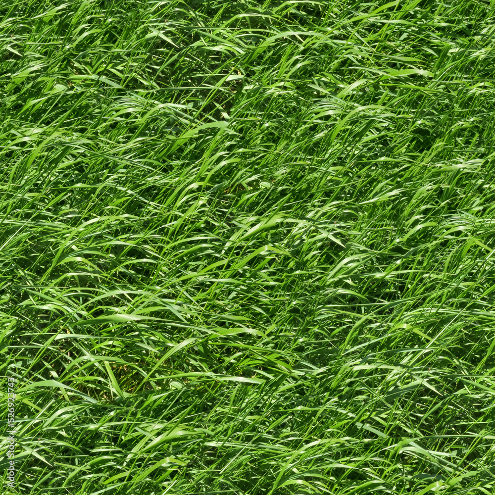 Seamless Grass Texture. Lawn, meadow. Golf, football, baseball, tennis. Land plot, stadium, yard. Aesthetic background for design, advertising, 3d. Empty space for inscriptions. Eco coating. Seamless Grass Texture. Lawn, meadow. Golf, football, baseball, tennis. Land plot, stadium, yard. Aesthetic background for design, advertising, 3d. Empty space for inscriptions. Eco coating.