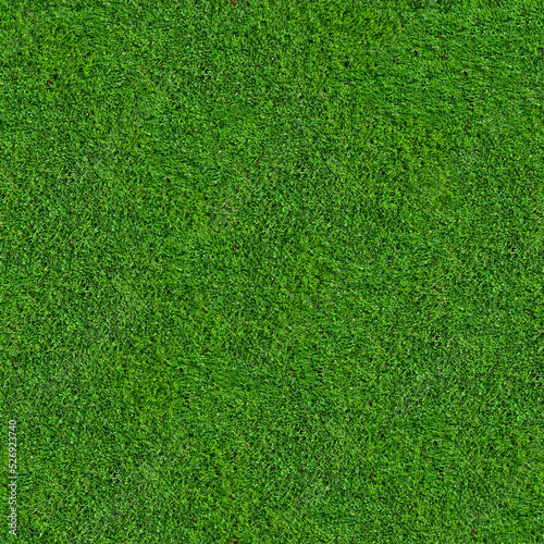 Seamless Grass Texture. Lawn, meadow. Golf, football, baseball, tennis. Land plot, stadium, yard. Aesthetic background for design, advertising, 3d. Empty space for inscriptions. Eco coating.