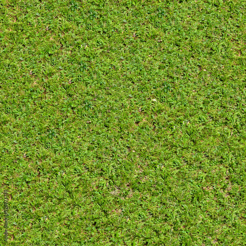 Seamless Grass Texture. Lawn, meadow. Golf, football, baseball, tennis. Land plot, stadium, yard. Aesthetic background for design, advertising, 3d. Empty space for inscriptions. Eco coating.