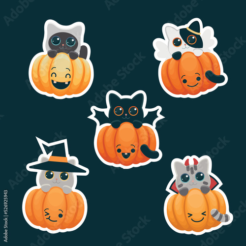 Halloween cats in carnival costumes with smiling pumpkins. Bright sir vector illustrations. 