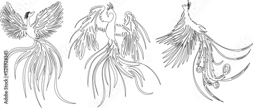 phoenix bird sketch,outline vector, isolated