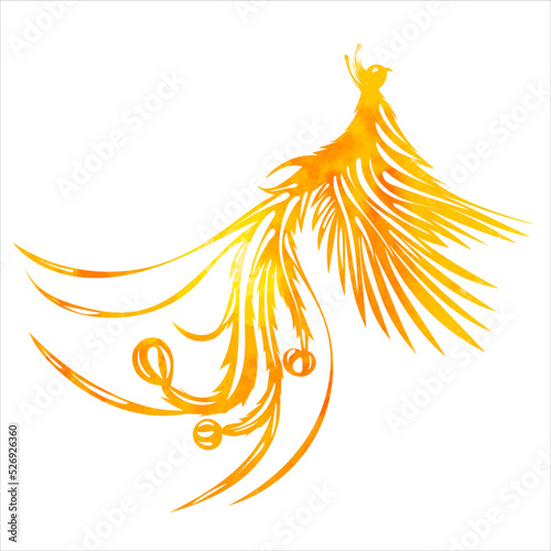 phoenix bird watercolor silhouette isolated, vector