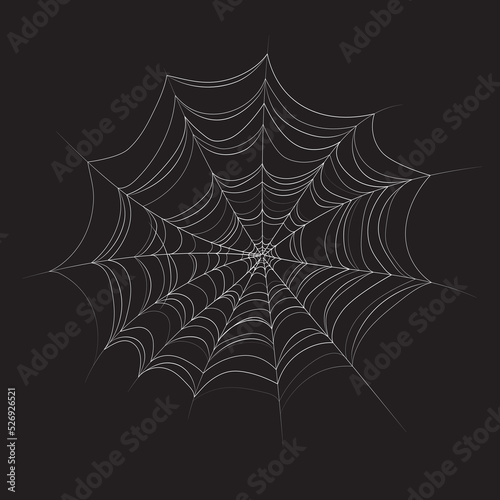 white cobweb on black background