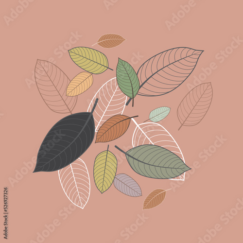 kratom leaf background