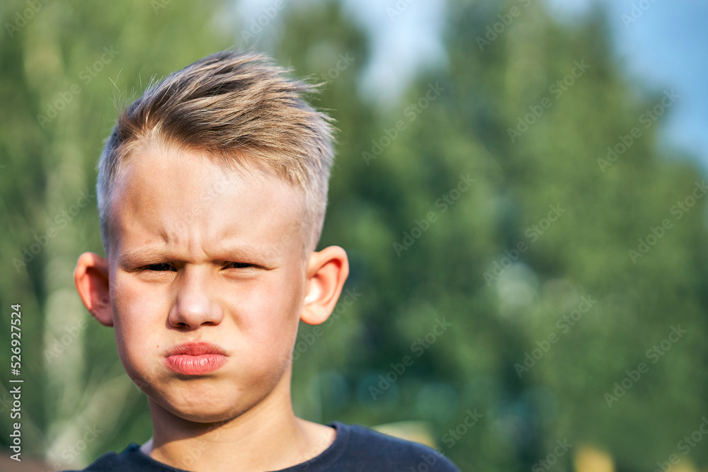 Frustrated little schoolboy with short hairstyle posing for camera on blurred green sunny summer city park extreme closeup Frustrated little schoolboy with short hairstyle posing for camera on blurred green sunny summer city park extreme closeup