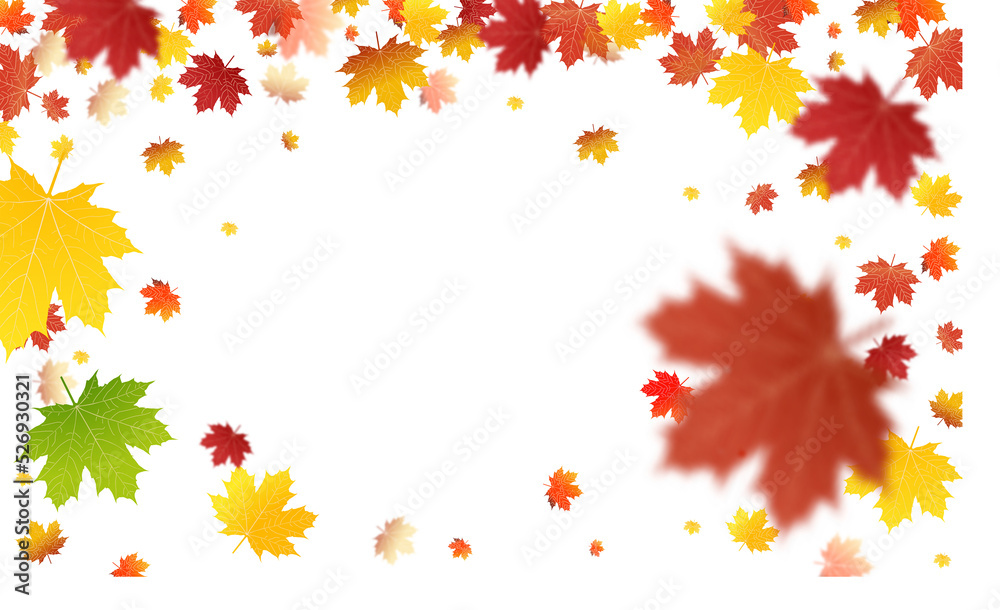 PNG. Autumn leaves on isolated transparent background. The wind blows off the leaves, the wind blows. PNG. Autumn leaves on isolated transparent background. The wind blows off the leaves, the wind blows.