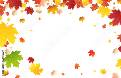 PNG. Autumn leaves on isolated transparent background. The wind blows off the leaves  the wind blows.