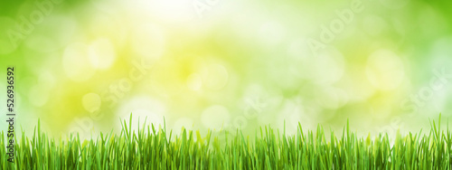 Green grass field bokeh