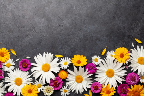 Chamomile garden flowers on stone background