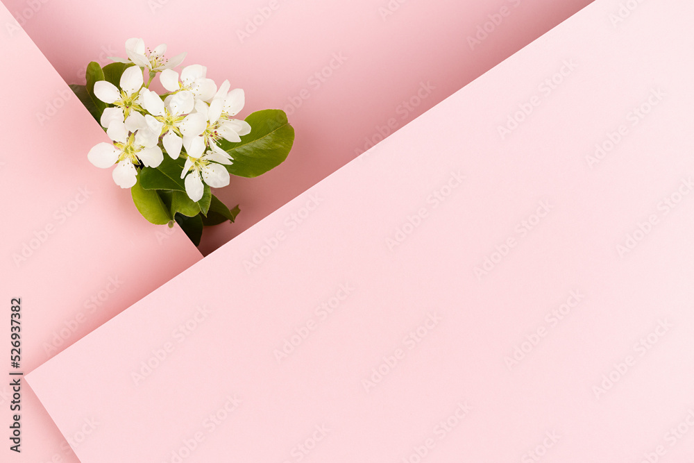 Wedding floral pink background with white apple tree flowers, leaf paper blank straight planes with corner for text mockup on pastel pink background for advertising, branding identity, greeting card.