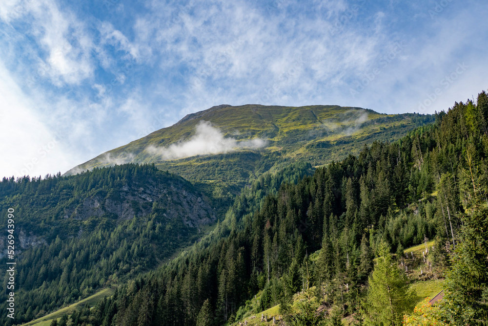 Obraz premium Api Svizzere e Tirolo