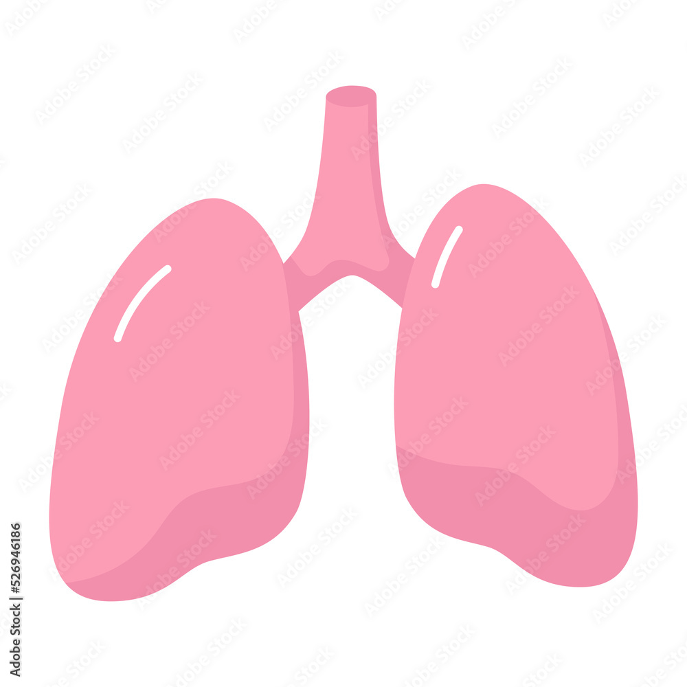 Lungs icon. Lungs icon.
