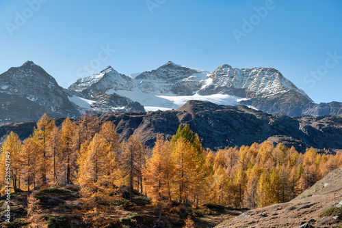 Autumnal landscape in the Swiss Alps