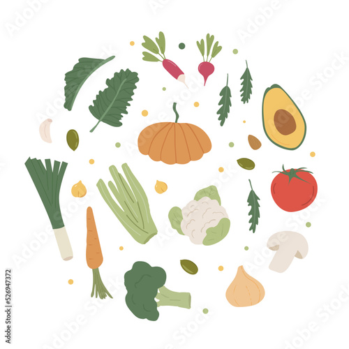 Organic vegetables collection in round circle. Set of fresh local farm veggies. Healthy vegetarian food poster. Seasonal diet for vegan fresh menu, cooking ingredients. Flat style vector illustration.