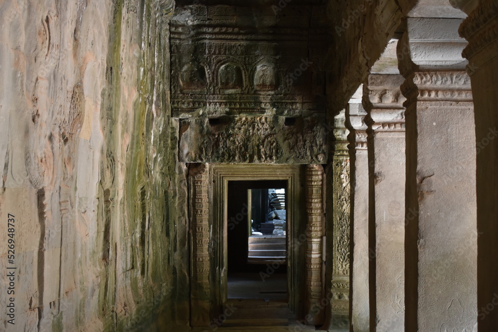 Hallway in Ta Prohm with Columns on One Side, Siem Reap, Cambodia Hallway in Ta Prohm with Columns on One Side, Siem Reap, Cambodia