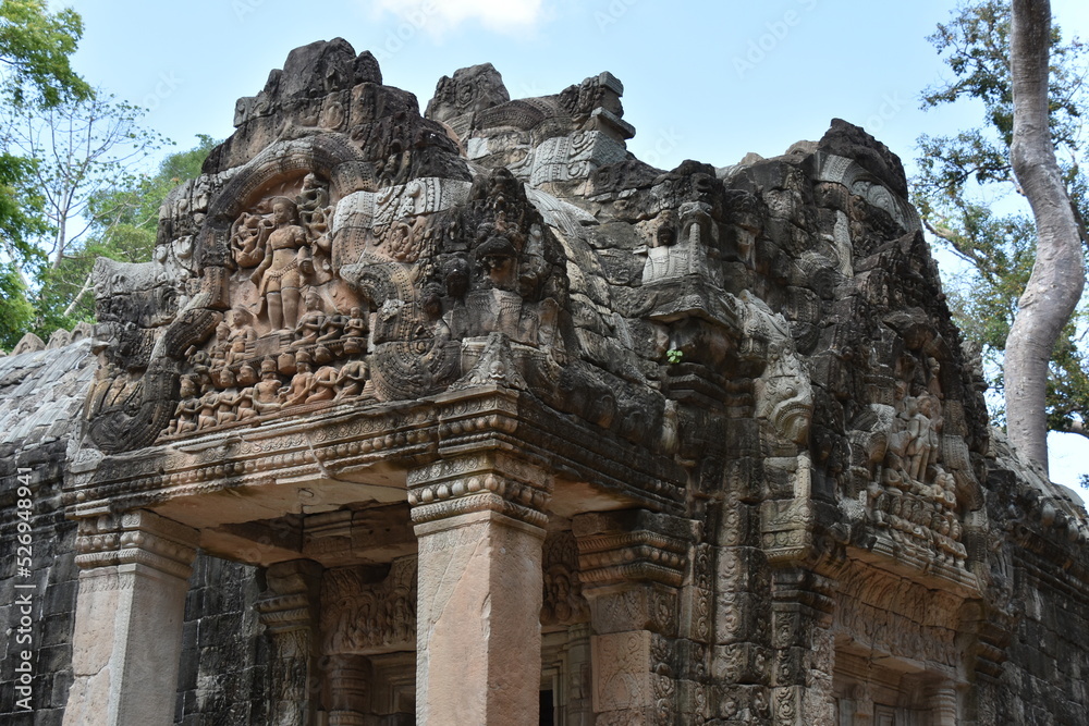 Ta Prohm Temple Facade Detail, Medium Shot, Siem Reap, Cambodia