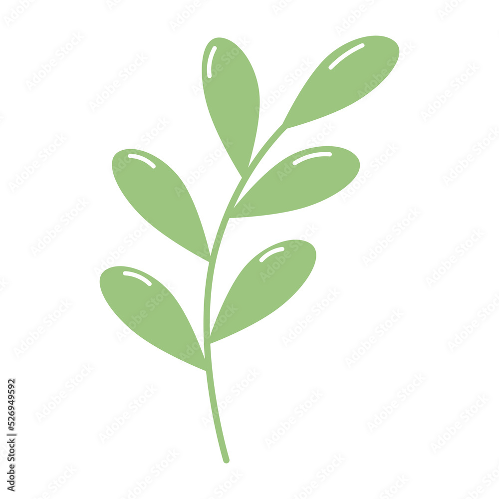 tropical leaves icon