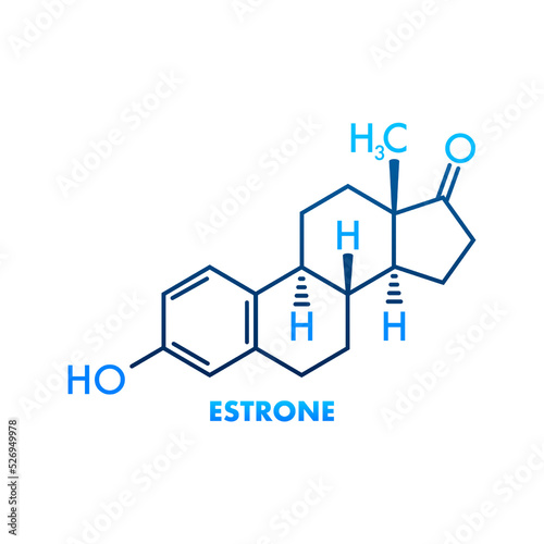 Estrone formula. Estrogens vector chemical formulas. Vector illustration © DG-Studio
