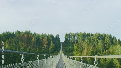 Geierlay suspension bridge wide shot in morning on summer day pov photo