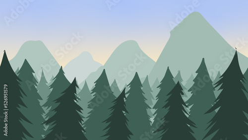 Clear morning in a coniferous forest near the mountains