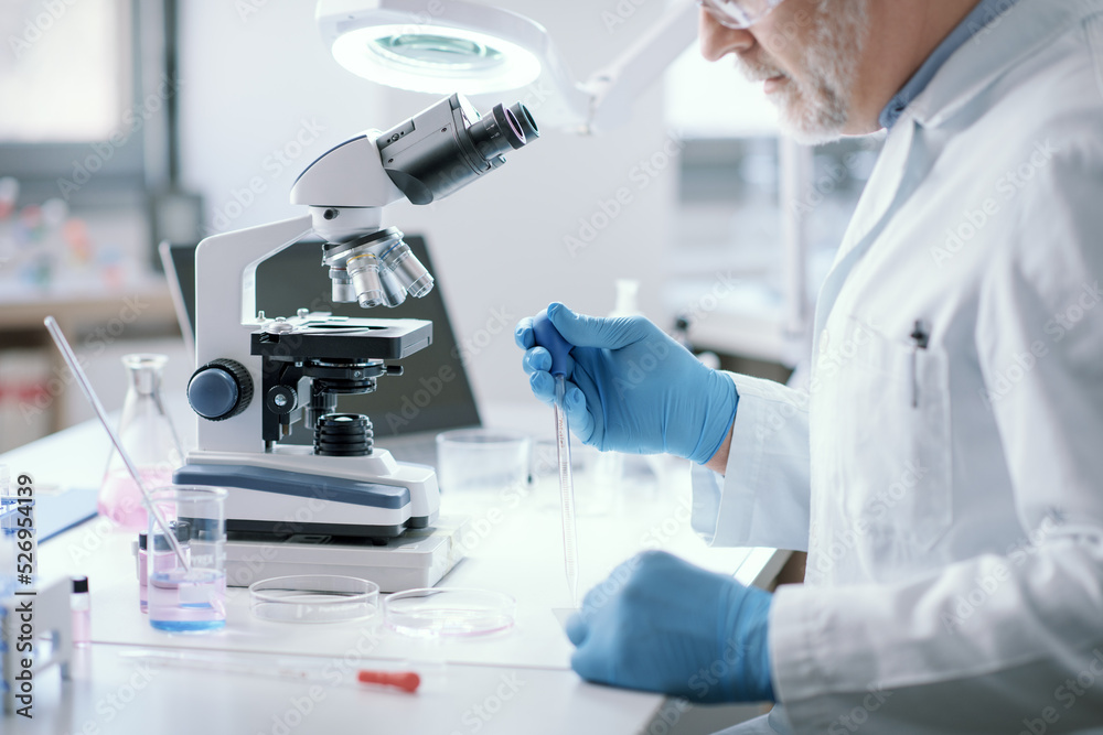 Scientist working in the laboratory Scientist working in the laboratory