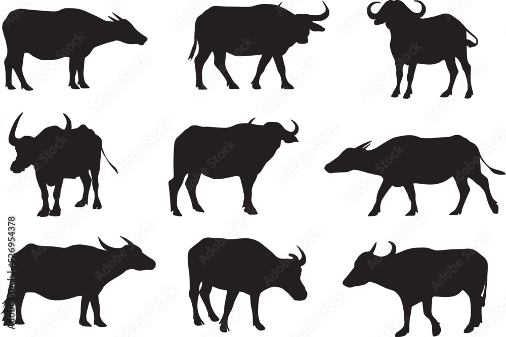 buffalo silhouette