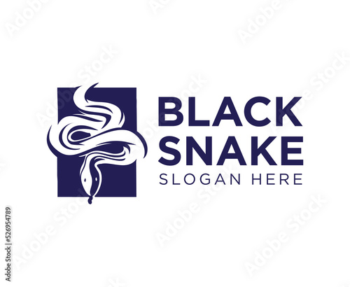 Black snake logo silhouette vector isolated illustration on a white background icon of the serpent