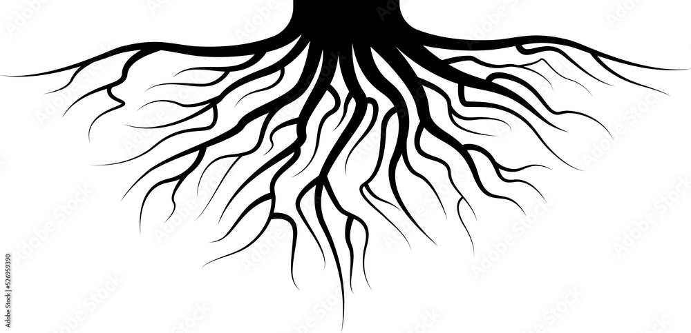 Obraz premium Roots icon logo design template