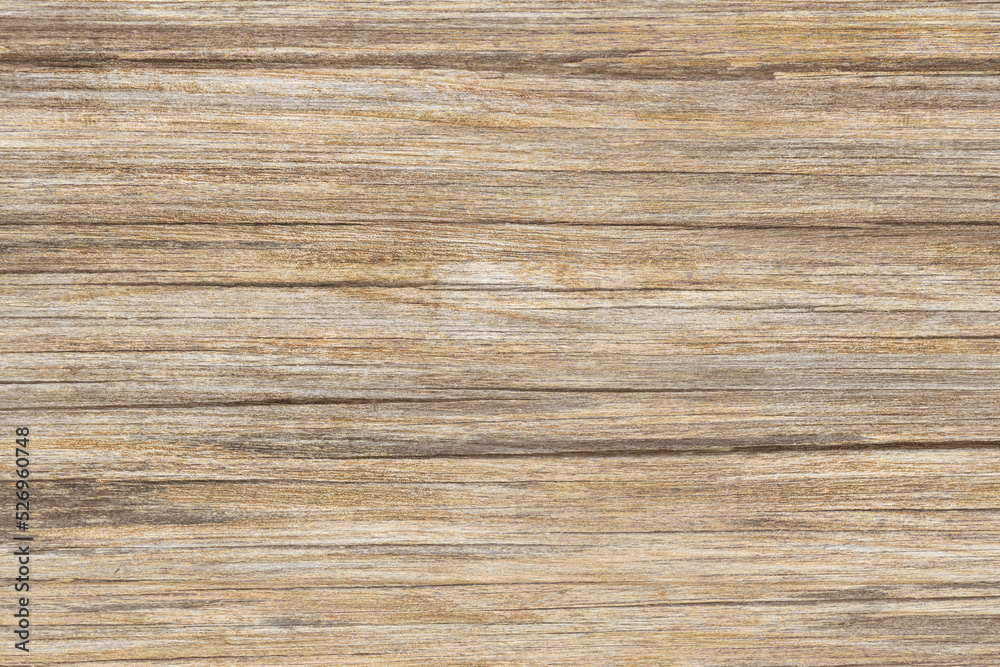 texture of wood background. old brown rustic light bright wooden maple texture - wood background panorama banner long texture of wood background. old brown rustic light bright wooden maple texture - wood background panorama banner long