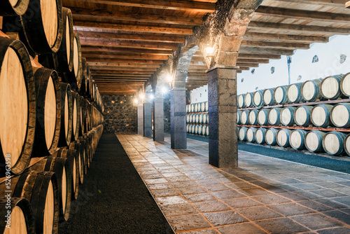 Wine cellar with many barrels on Lanzarote, Canary Islands, Spain photo