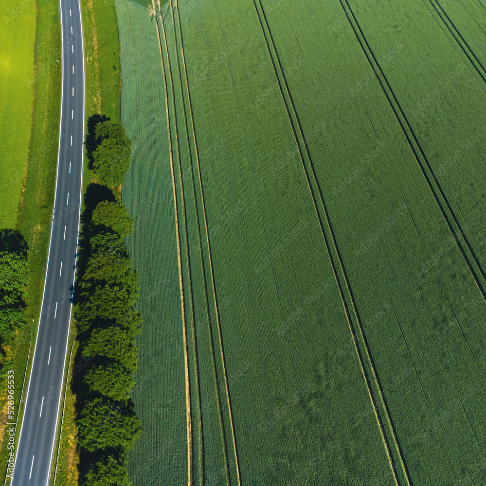 Green field, road, background, green field texture  