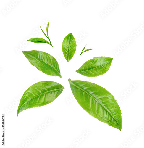 Green tea leaves isolated on transparent background. (.PNG) © sathit