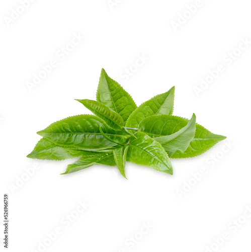 Green tea leaves isolated on transparent background. (.PNG)