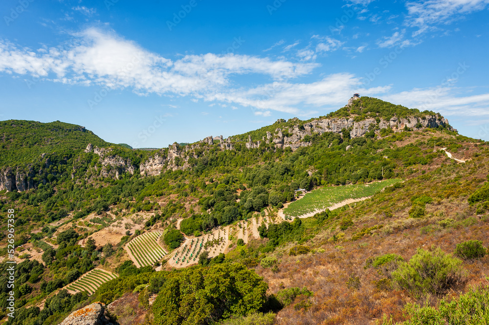 Cultivation of a vineyard in the mountains. Agriculture. Cultivation of a vineyard in the mountains. Agriculture.
