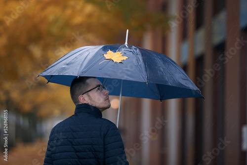 Man with umbrella walking under yellow maple trees on city street during autumn rainy day. .