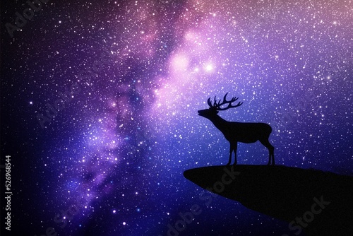Lonely deer on cliff edge. Animal silhouette. Starry sky and Milky Way